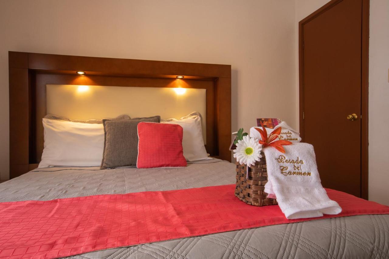 Hotel Posada Del Carmen サン・ルイス・ポトシ エクステリア 写真