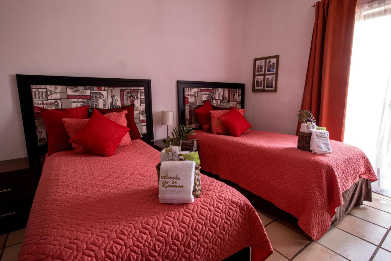 Hotel Posada Del Carmen サン・ルイス・ポトシ エクステリア 写真
