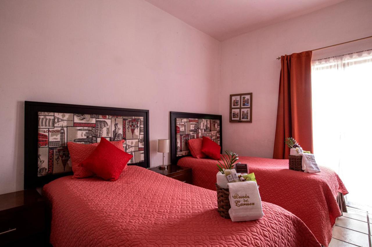 Hotel Posada Del Carmen サン・ルイス・ポトシ エクステリア 写真