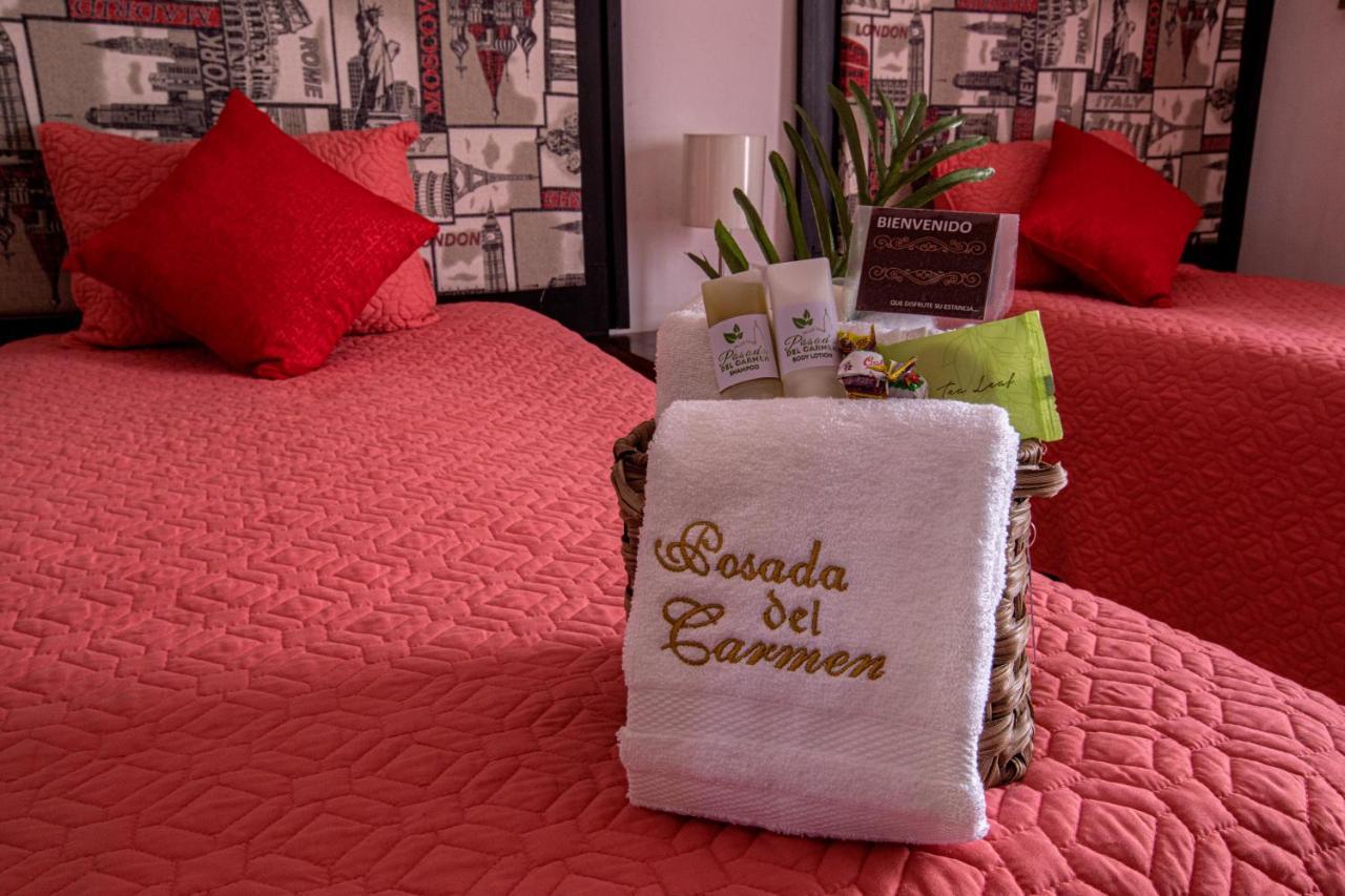 Hotel Posada Del Carmen サン・ルイス・ポトシ エクステリア 写真