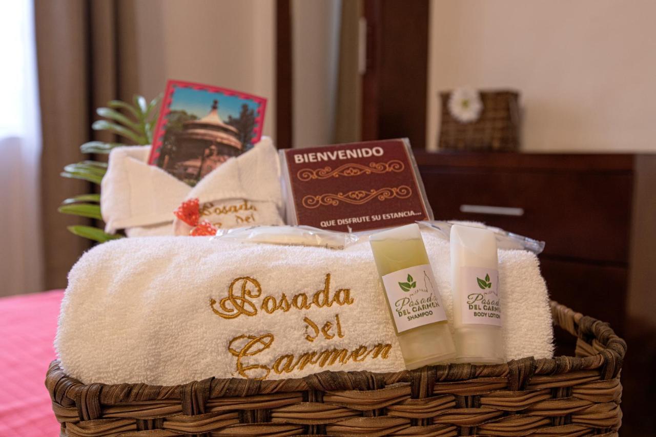 Hotel Posada Del Carmen サン・ルイス・ポトシ エクステリア 写真